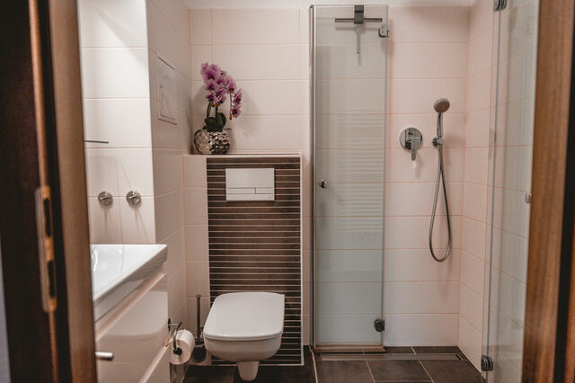 Ferienwohnung in Ueckermünde - Lagunenstadt am Haff Fewo 146 - Oberlicht - Bild 11