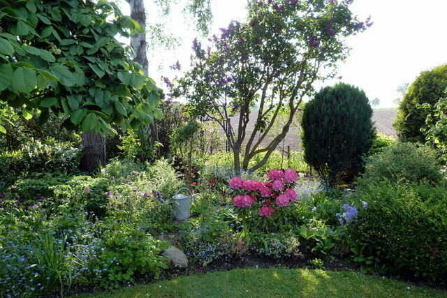 Bungalow in Dahme - Bungalow Mumm - Bild 7