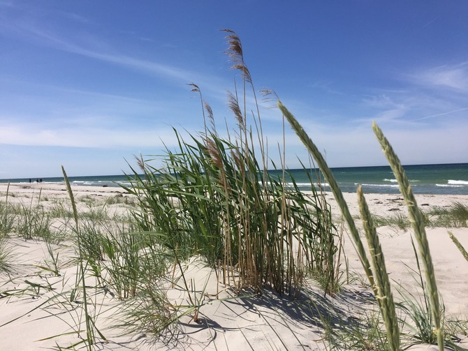Ferienhaus in Pruchten - Ferienhus Darsskieker - Die Ostsee in unmittelbarer Nähe