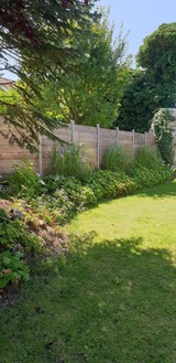 Ferienwohnung in Heiligenhafen - FeWo Todeskino "Möwennest" in Heiligenhafen - Bild 24