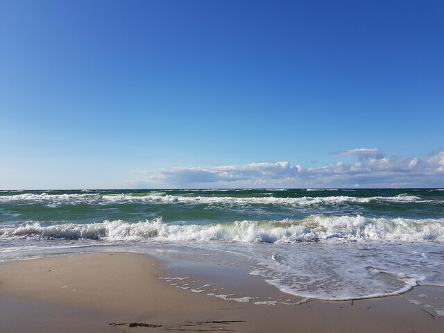 Ferienwohnung in Zingst - Ferienwohnung B&ouml;ttcher - Bild 24