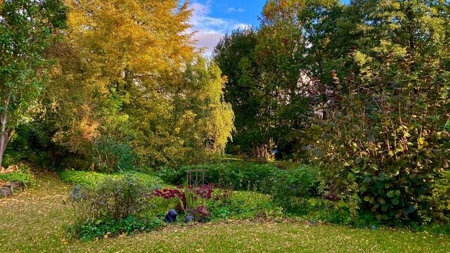 Ferienhaus in Schönwalde - Alte Kate - Bild 24