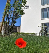 Ferienwohnung in Binz (Ostseebad) OT Prora - FeWo room-of-light in PRORA - 9.34 - Bild 20