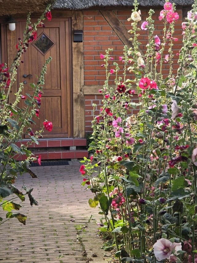 Ferienwohnung in &Ouml;lendorf - Urlaub unterm Reet - Bild 15