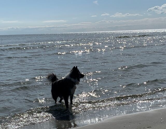 Ferienwohnung in G&ouml;hren - Villa Fernsicht G&ouml;hren Fewo Nr.2 EG - Bild 15