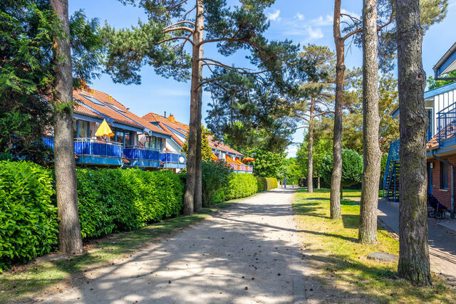 Ferienwohnung in Boltenhagen - Papillon 14-2 Wohnung "Jule" - Bild 15