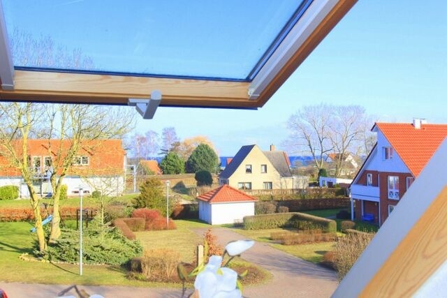 Ferienwohnung in Boltenhagen - Haus am Haftbruch Whg. 08 - Bild 9