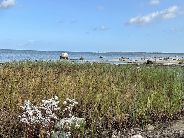 Ferienwohnung in Hohen Wieschendorf - Ostsee-Panorama No. 4 - Aurora Vista - ABC568 - Bild 24