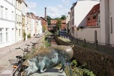 Ferienhaus in Zierow - L&uuml;tt M&ouml;w mit Sauna an der Ostsee - ABC595 - nur Ferieng&auml;ste! - Bild 23