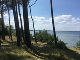 Ferienhaus in Hohen Wieschendorf - Strandhaus Fiete - Haus Walfisch - ABC330 - Bild 23