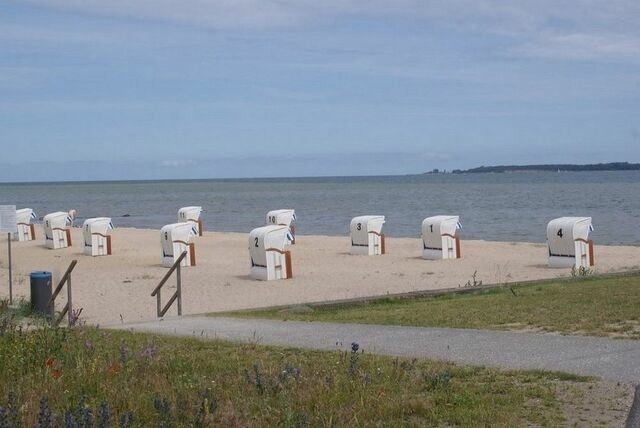 Ferienhaus in Hohen Wieschendorf - Strandhaus Fiete - Haus Walfisch - ABC330 - Bild 15