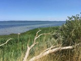 Ferienhaus in Hohen Wieschendorf - Strandhaus Fiete - Haus Walfisch - ABC330 - Bild 18