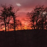 Ferienwohnung in L&uuml;bow - Bolikenberg im Herrenhaus Levetzow - 5-Sterne - ABC434 - Bild 24