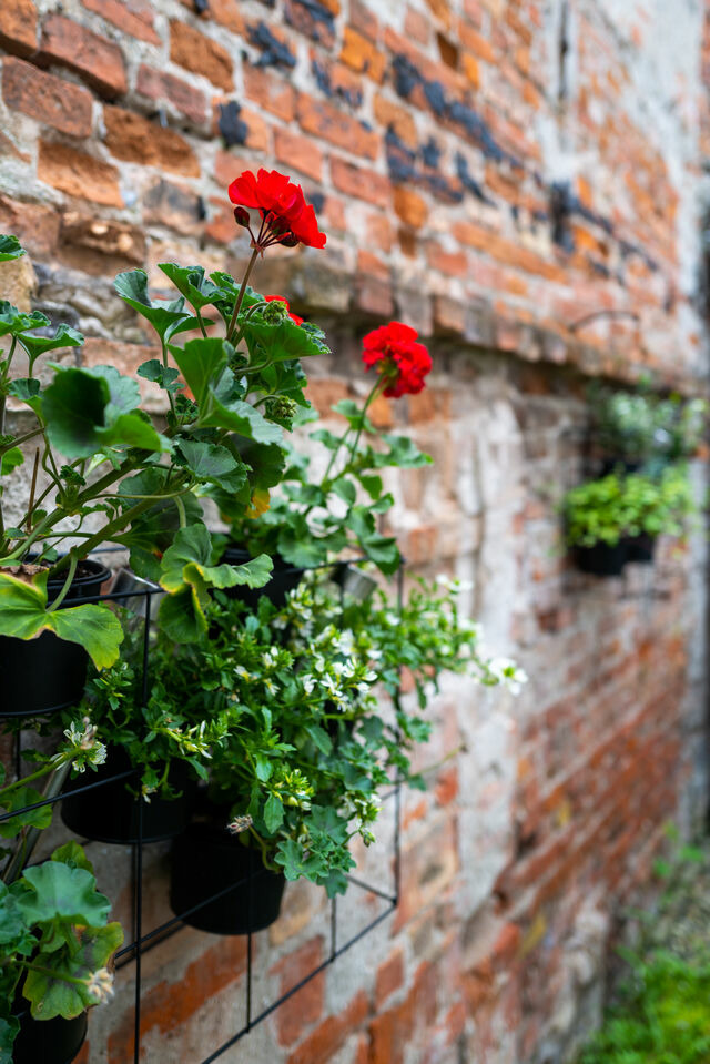 Ferienwohnung in Wismar - Traumf&auml;nger - ABC285 - Bild 17