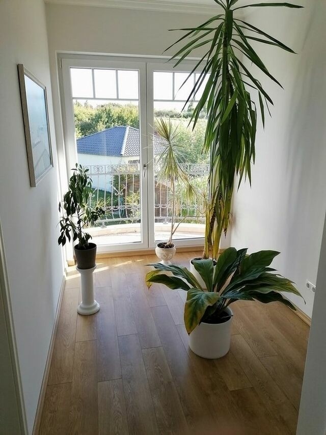 Ferienhaus in Wismar - Stadthaus L&uuml;bsche Burg - ABC326 - Bild 24