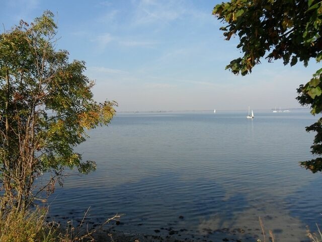 Ferienwohnung in Hohen Wieschendorf - Auszeit - ABC208 an der Ostsee - Bild 20