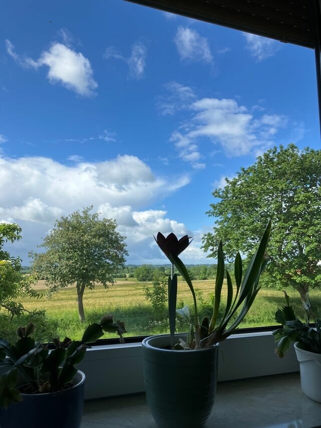 Ferienwohnung in Ostseebad Sch&ouml;nhagen - Haus mit Herz - Ferienwohnung 1 - Bild 2