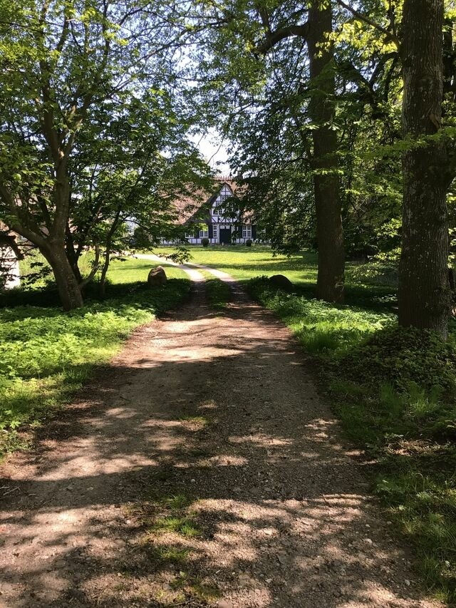 Ferienwohnung in Twedt - Hof L&uuml;cke - Ferienwohnung Blau - Bild 17