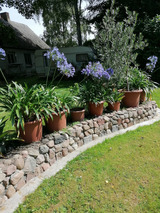 Ferienwohnung in L&ouml;bnitz - Ferienwohnung 1 Landhaus Th&auml;tner - Bild 7