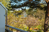 Ferienwohnung in Baabe - Ferienwohnung 15 "Jasmund" - Bild 16