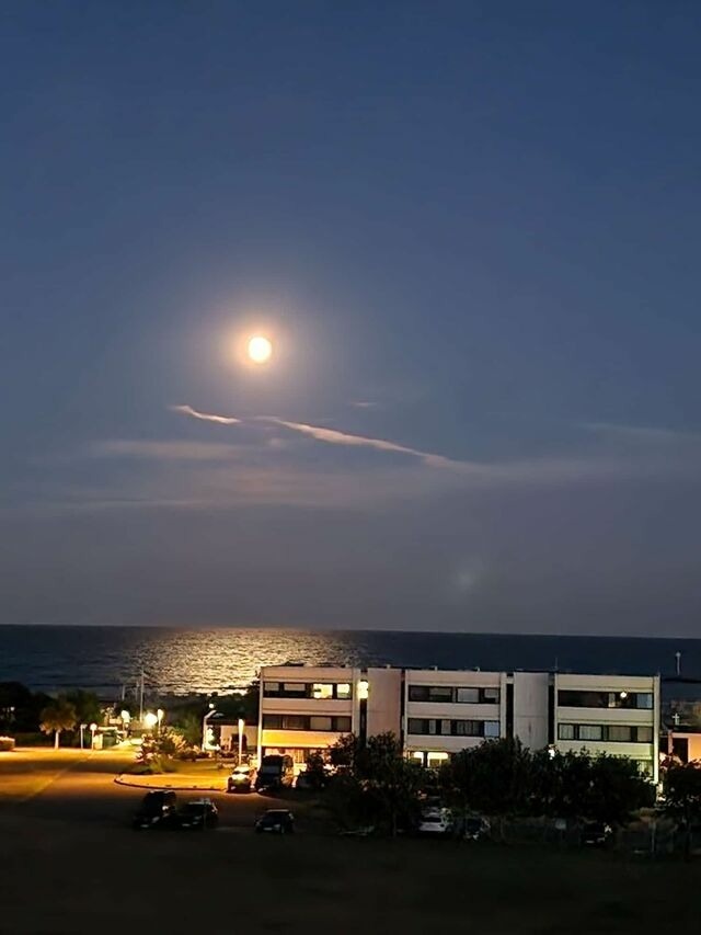 Ferienwohnung in Fehmarn OT Burgtiefe - Baltic Horizont mit Meerblick - Bild 10