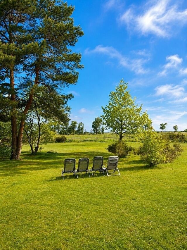 Ferienhaus in Pruchten - Ferienhaus am Nationalpark Fischland Dar&szlig; / Zingst Kamin, gro&szlig;er Garten, 3 SZ - Bild 3