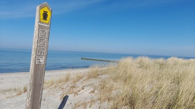 Ferienhaus in Pruchten - Ferienhaus am Nationalpark Fischland Dar&szlig; / Zingst Kamin, gro&szlig;er Garten, 3 SZ - Bild 13